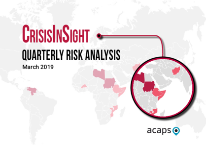 CrisisInSight: Quarterly Risk Analysis