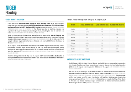 Niger: flooding Niger: flooding